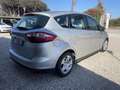 Ford C-Max C-Max II 2010 1.6 Titanium Gpl 120cv Argento - thumbnail 10