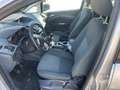 Ford C-Max C-Max II 2010 1.6 Titanium Gpl 120cv Argento - thumbnail 14