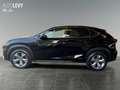 Lexus NX 300 h E-Four Luxury HUD/MEMORY/360/M&L Schwarz - thumbnail 3