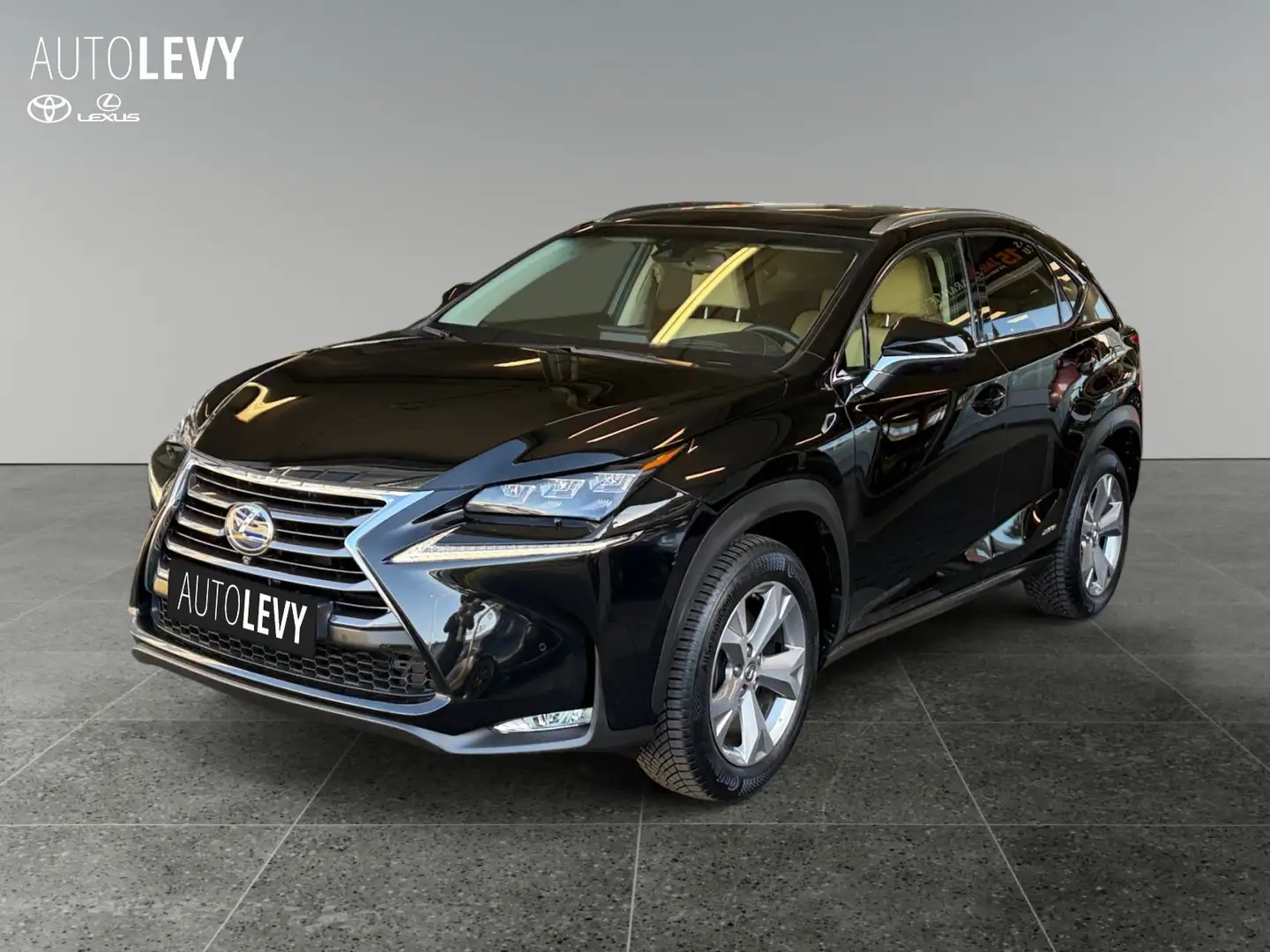 Lexus NX 300 h E-Four Luxury HUD/MEMORY/360/M&L Schwarz - 2