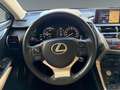 Lexus NX 300 h E-Four Luxury HUD/MEMORY/360/M&L Schwarz - thumbnail 13