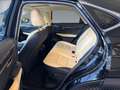 Lexus NX 300 h E-Four Luxury HUD/MEMORY/360/M&L Schwarz - thumbnail 14