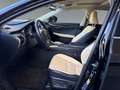 Lexus NX 300 h E-Four Luxury HUD/MEMORY/360/M&L Schwarz - thumbnail 10