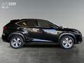 Lexus NX 300 h E-Four Luxury HUD/MEMORY/360/M&L Schwarz - thumbnail 7