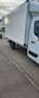 Renault Master Master ENERGY dCi 165 L4H1 HA DT Weiß - thumbnail 15