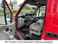 Opel Movano erste hand Rot - thumbnail 12
