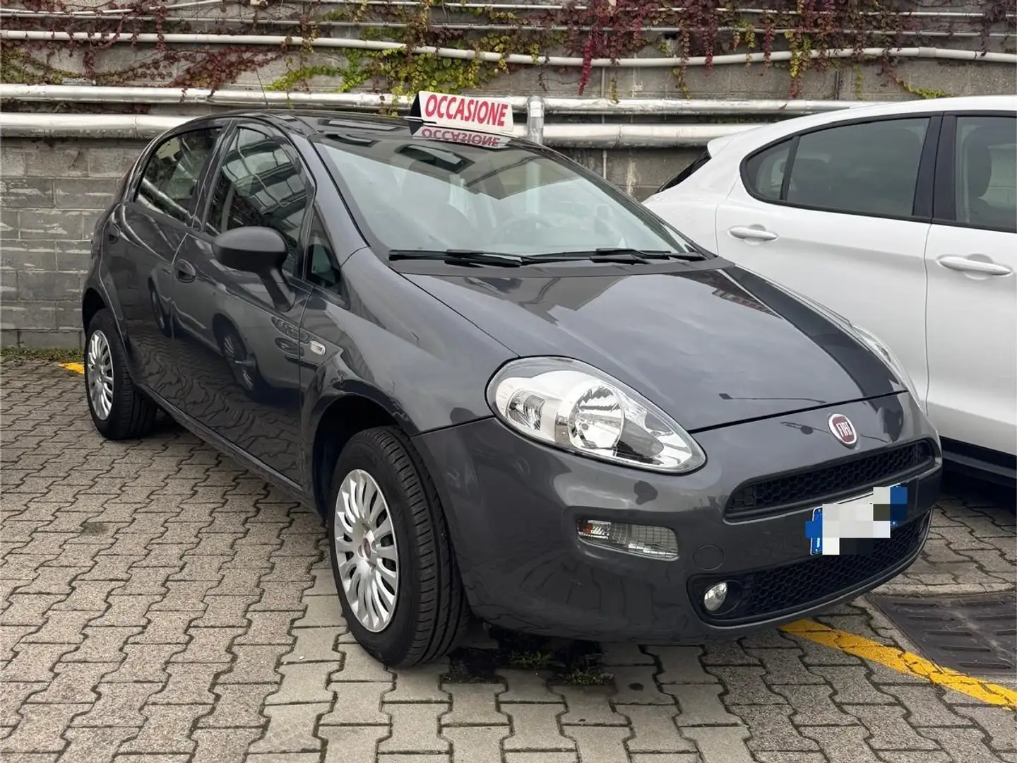 Fiat Punto Punto III 2012 5p 1.4 natural power Street 70cv E6 Grigio - 1