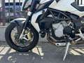 MV Agusta Brutale 800 Blanc - thumbnail 10