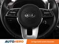 Kia Sportage 1.6 GDI Silber 2WD *CAM*TEMPO*SHZ* Weiß - thumbnail 19