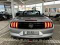 Ford Mustang GT V8 Cabrio 6gang + FGS 7J /100TKM Argent - thumbnail 13
