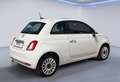 Fiat 500 DolceVita/Klima/ Alu/ PDC/Panoramad. Weiß - thumbnail 6