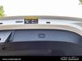 smart #1 Pro+ *LED*Navi*360°*Pano*KeylGo*TotW*ACC* Weiß - thumbnail 7