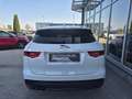 Jaguar F-Pace 20d AWD R-Sport Aut. Weiß - thumbnail 5