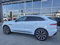 Jaguar F-Pace 20d AWD R-Sport Aut. Weiß - thumbnail 3