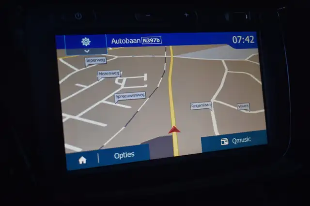 Dacia Spring view 10