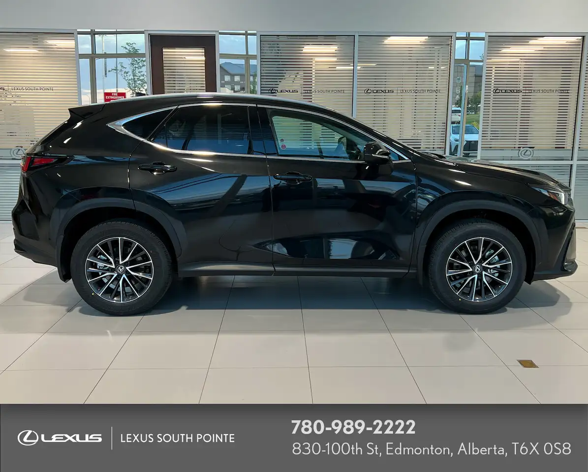 Lexus NX photo Lexus NX