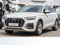 Audi Q5 40 TDI Q ADVANCED AHK NAVI LUFT MATRIX Weiß - thumbnail 2