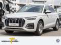 Audi Q5 40 TDI Q ADVANCED AHK NAVI LUFT MATRIX Weiß - thumbnail 1