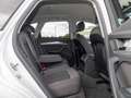 Audi Q5 40 TDI Q ADVANCED AHK NAVI LUFT MATRIX Weiß - thumbnail 8
