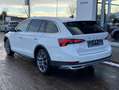 Skoda Octavia Scout Combi 2.0 TDI DSG 4x4 STANDHEIZUNG Weiß - thumbnail 3