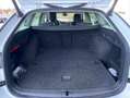 Skoda Octavia Scout Combi 2.0 TDI DSG 4x4 STANDHEIZUNG Weiß - thumbnail 15