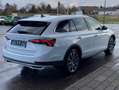 Skoda Octavia Scout Combi 2.0 TDI DSG 4x4 STANDHEIZUNG Weiß - thumbnail 5
