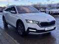 Skoda Octavia Scout Combi 2.0 TDI DSG 4x4 STANDHEIZUNG Weiß - thumbnail 6
