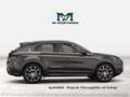 Porsche Cayenne E-Hybrid |Hinterachslenkung|Panorama|Luftfederung Grau - thumbnail 7