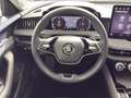 Skoda Superb Selection TDI DSG Schwarz - thumbnail 9