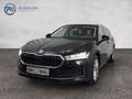 Skoda Superb Selection TDI DSG Schwarz - thumbnail 1