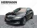 Skoda Superb Combi 2.0 TSI L&K 4x4*CAM*LED*SHZ*PDC*ACC Black - thumbnail 2