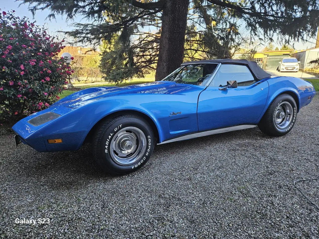 Corvette C3, foto 8