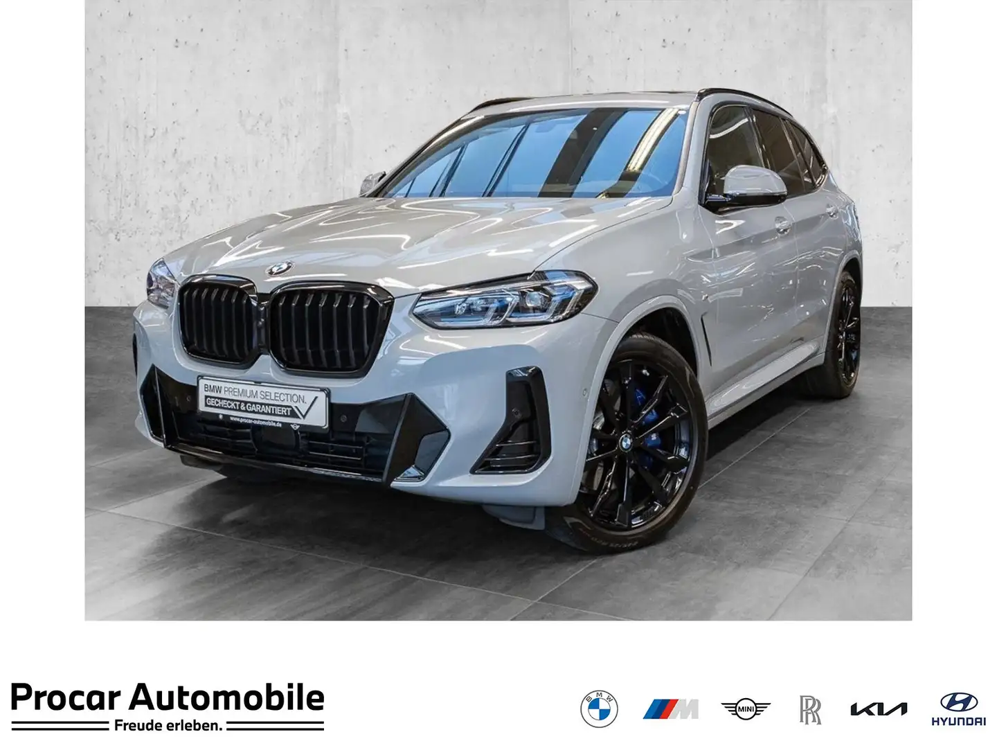 BMW X3 xDrive30d M Sportpaket Head-Up HiFi DAB WLAN Grau - 1