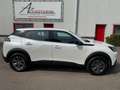 Peugeot e-2008 Active Pack Carplay/Adapt CC/360°/21% BTW incl Blanc - thumbnail 13