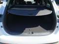 Kia Ceed SW / cee'd SW ceed SW 1,0 T-GDI GPF ISG Silber *Style Paket* Weiß - thumbnail 23