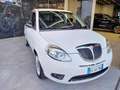 Lancia Ypsilon 1.2 69 CV ( Garanzia 12 mesi) Bianco - thumbnail 4