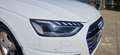 Audi A4 Avant 35 TDI/163 CV S tronic Business Advanced Bianco - thumbnail 7
