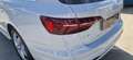 Audi A4 Avant 35 TDI/163 CV S tronic Business Advanced Bianco - thumbnail 8