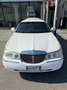Lincoln Town Car Limousine 9 Posti Patente B - thumbnail 3
