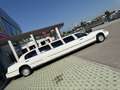 Lincoln Town Car Limousine 9 Posti Patente B - thumbnail 6