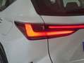 Lexus NX 300h 350h Business City 2WD Blanco - thumbnail 37