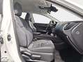 Lexus NX 300h 350h Business City 2WD Weiß - thumbnail 7