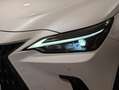 Lexus NX 300h 350h Business City 2WD Weiß - thumbnail 37