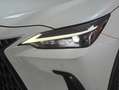 Lexus NX 300h 350h Business City 2WD Blanco - thumbnail 34