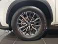 Lexus NX 300h 350h Business City 2WD Weiß - thumbnail 36