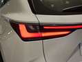 Lexus NX 300h 350h Business City 2WD Weiß - thumbnail 40