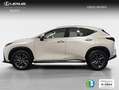 Lexus NX 300h 350h Business City 2WD Weiß - thumbnail 3