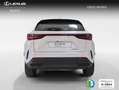 Lexus NX 300h 350h Business City 2WD Blanco - thumbnail 4