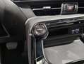 Lexus NX 300h 350h Business City 2WD Weiß - thumbnail 32