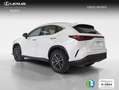 Lexus NX 300h 350h Business City 2WD Blanco - thumbnail 2